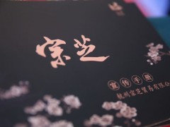 宗芝實(shí)業(yè)宣傳片