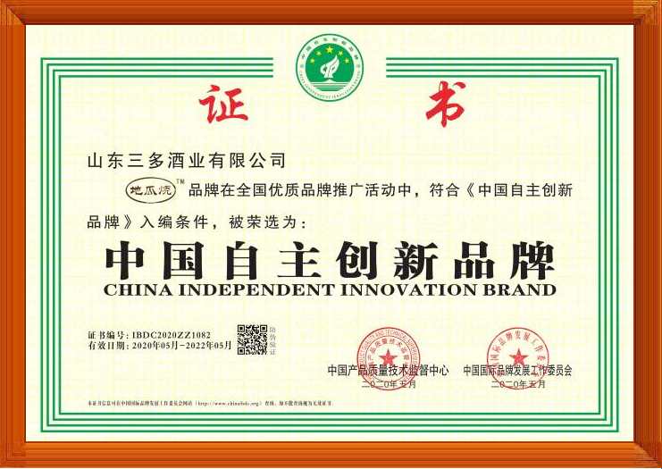 中國自主創新品牌