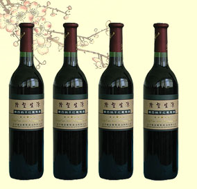 遼寧隆堃藍(lán)莓酒業(yè)有限公司