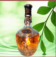 江西金洋酒業(yè)貿(mào)易商行