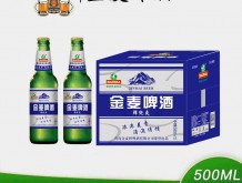 金麥鮮啤酒 500mlx12瓶